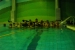 corso-apnea-roma-2011