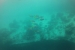 387276_10151568953873979_1735510090_n