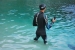 William Trubridge Record Apnea Profonda